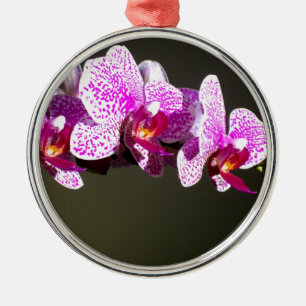Ornement En Métal Élégante orchidée rose fleurie tropicale