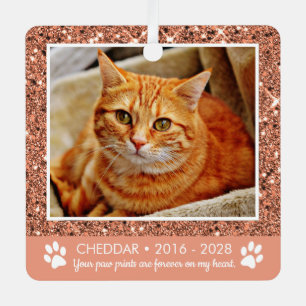 Ornement En Métal Empreintes de pattes Cat Memorial Photo Métal Orne