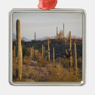 Ornement En Métal États-Unis, Arizona, désert de Sonora, Ajo, Ajo 2