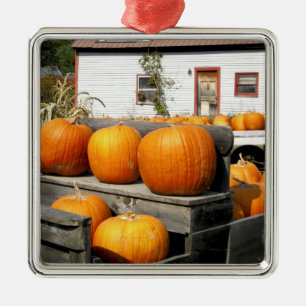 Ornement En Métal États-Unis, Vermont. Citrouilles