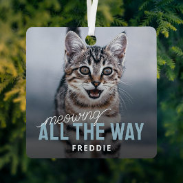 Ornement En Métal Fantaisie Photo Pet Chat Noël