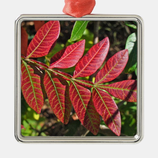 Ornement En Métal Feuilles De Sumac À L'Automne (Devant)