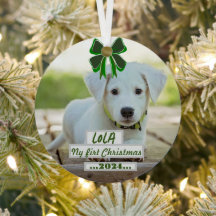 First Christmas ornament with my pet