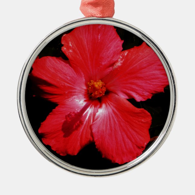 Ornement En Métal Fleur d'Hibiscus rouge rose chaud sur noir (Devant)