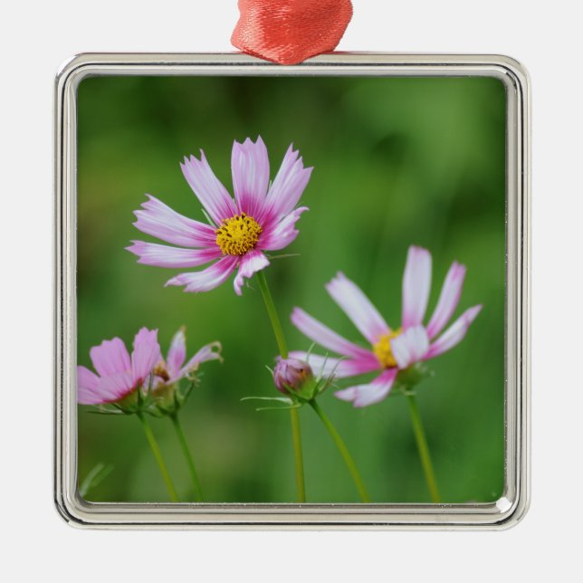 Ornement En Métal Fleurs de cosmos (Devant)