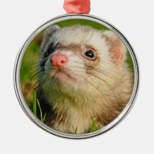 Ornement En Métal Friendly Pet Ferret