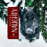 Funny Définir Naughty Animaux de compagnie photo K