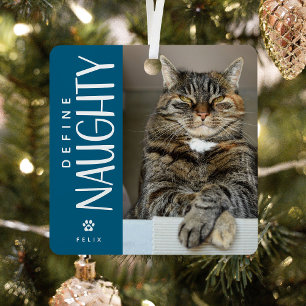 Ornement En Métal Funny Définir Naughty Animaux de compagnie photo K