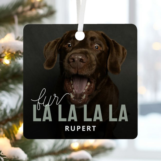 Ornement En Métal Funny Fur La La Pet Photo Noël (Créateur téléchargé)