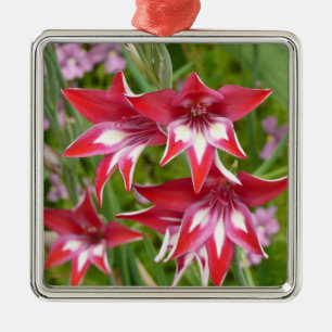 Ornement En Métal Gladiolas rouge et blanc Botanique d'été