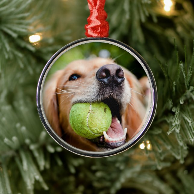 Ornement En Métal Golden Retriever Avec Le Bal De Tennis (Arbre)