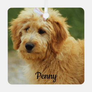 Ornement En Métal Goldendoodle Chien chiot