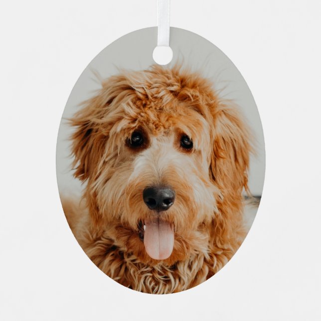 Ornement En Métal Goldendoodle Chien chiot (Recto)