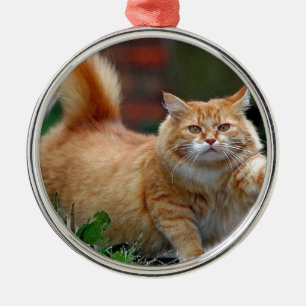 Ornement En Métal Grand gros chat orange
