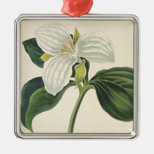 Ornement En Métal Grand Trillium fleuri (Devant)