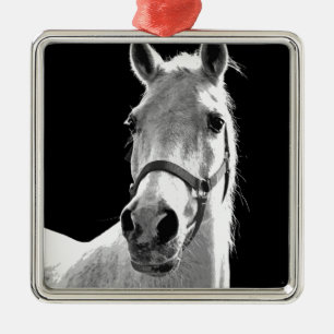 Ornement En Métal Gros plan Cheval blanc noir en nuit