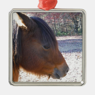 Ornement En Métal Gros plan sur le cheval Brown, Little Brown Pony