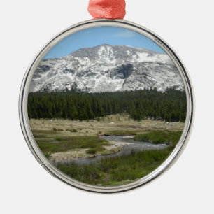 Ornement En Métal High Country Mountain Stream I