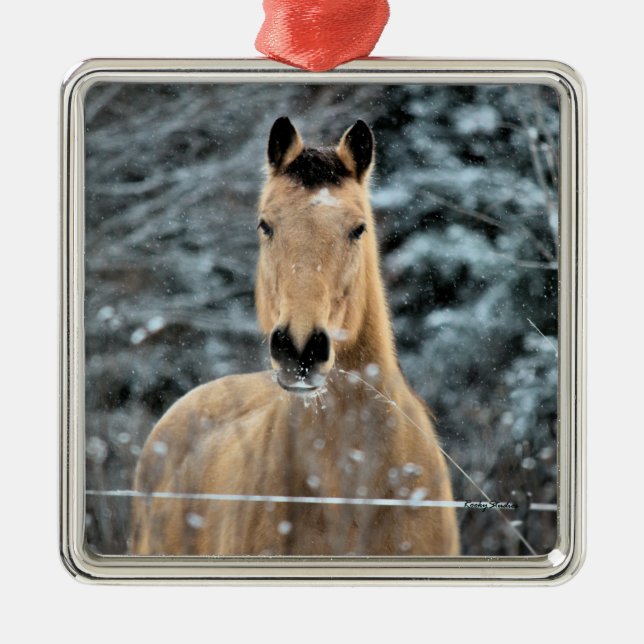 Ornement En Métal Hiver de cheval de peau de daim (Devant)
