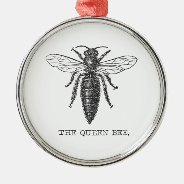 Ornement En Métal Illustration d'antiquité de l'insecte de la reine  (Devant)