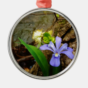 Ornement En Métal Iris nain à crête fleur bleue violette blanche