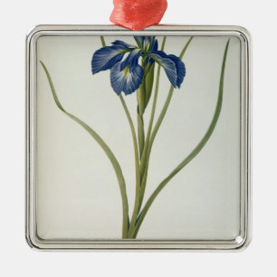 Ornement En Métal Iris Xyphioides, de "Les Liliacees", 1808