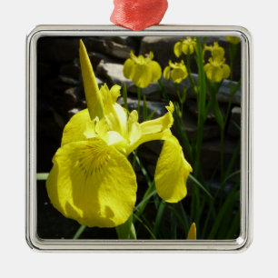Ornement En Métal Irises Jaunes Bright Spring Floral