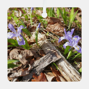 Ornement En Métal Irises miniatures sauvages