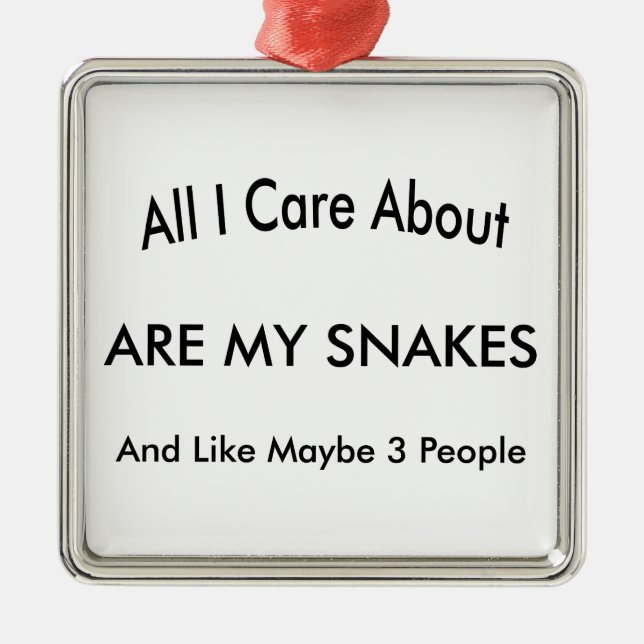 Ornement En Métal J'aime mes serpents (Devant)