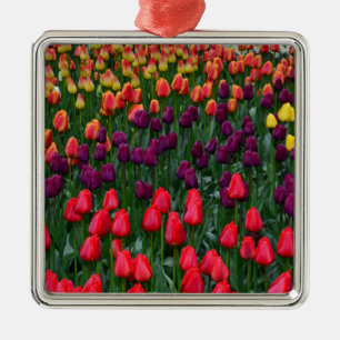 Ornement En Métal Jardin de fleurs de tulipes colorées