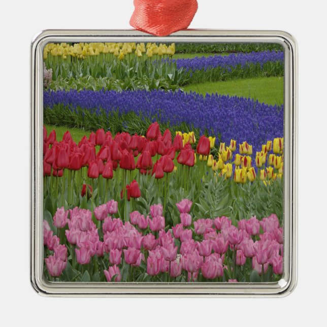 Ornement En Métal Jardin de tulipes, de raisin Hyacinth et (Devant)