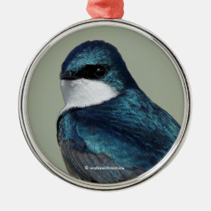Ornement En Métal Joli oiseau-chanteur bleu hirondelle