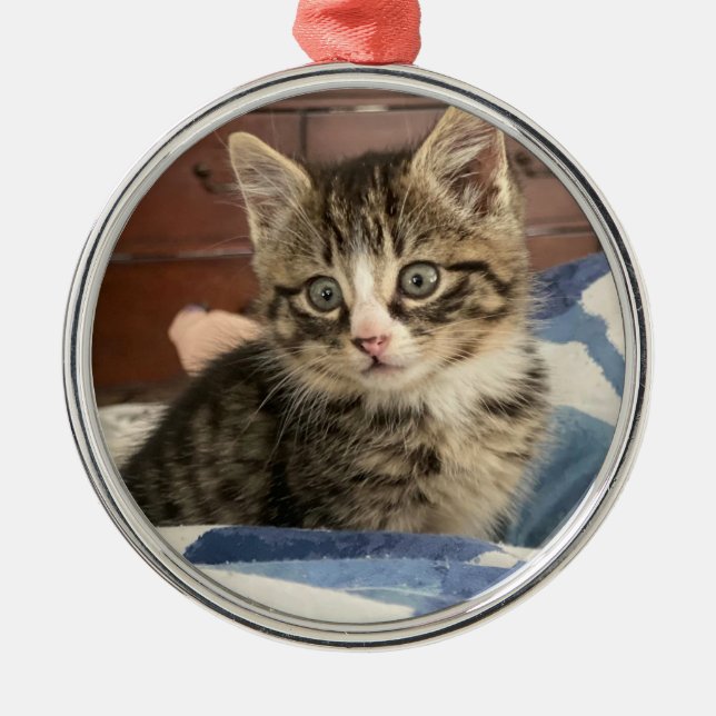 Ornement En Métal Joli petit Kitten Photo personnalisée Noël (Devant)