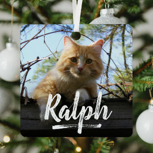 Ornement En Métal Jouer Lettering Pet Photo Noël