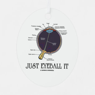 Ornement En Métal Juste Eyeball It Human Eye Anatomie Geek Conseils