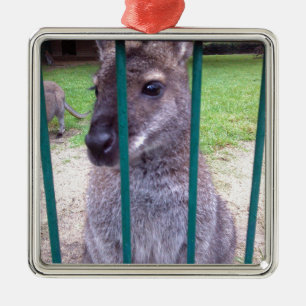 Ornement En Métal Kangaroo derrière les barreaux