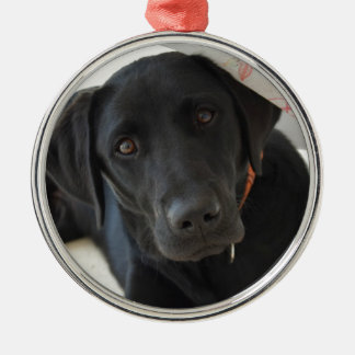 Ornement En Métal Labrador retriever noir personnalisable
