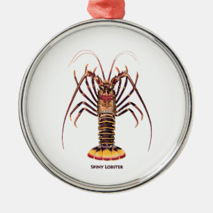 Ornement En Métal Langouste (de l'Asie et du Pacifique)
