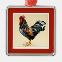 Le jeune coq 2007 de George