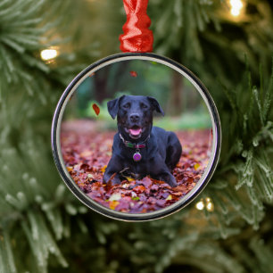 Ornement En Métal Le Labrador Noir Dans Les Feuilles D'Automne