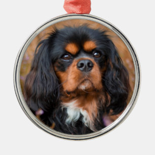 Ornement En Métal Le roi Charles Spaniel Charles de Noir et de Tan C