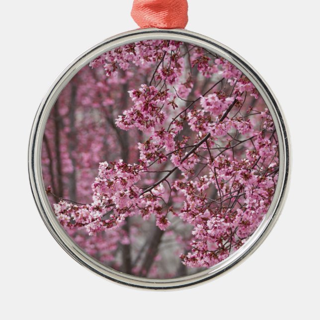 Ornement En Métal Les fleurs de cerisiers Sakura sont roses (Devant)