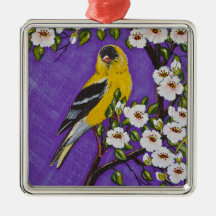 L'goldfinch américain