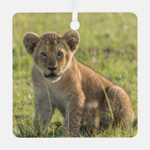 Ornement En Métal Lion Cub Personnaliser Nom ou Texte & Date Noël