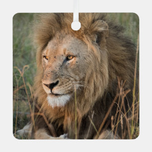 Ornement En Métal LION Personnaliser Nom Photo Noël