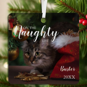 Ornement En Métal Liste de vilains Noël Animaux de compagnie Photo