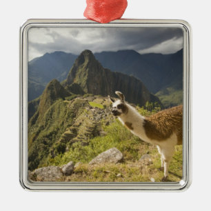 Ornement En Métal Llamas et vue sur Machu Picchu,