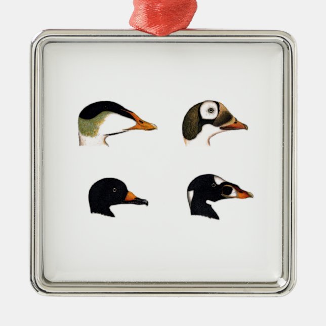 Ornement En Métal Logo de canards de mer (Devant)