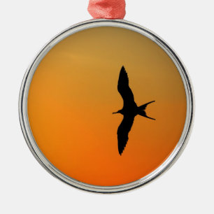Ornement En Métal Magnifique frégate oiseau volant coucher de soleil