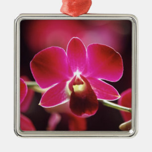 Ornement En Métal Malaisie, Orchidée